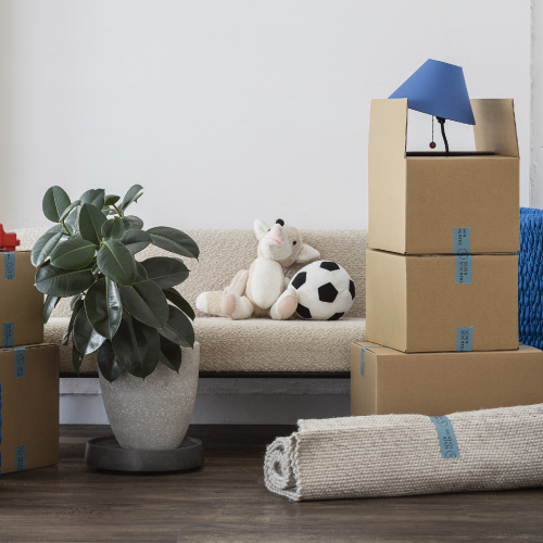 ファミリー引越し