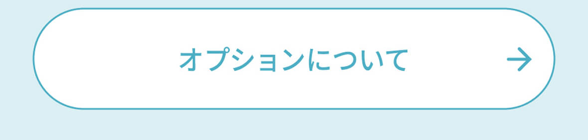 オプションについて